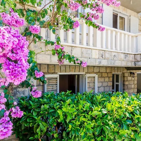 Small And Friendly Traditional Zaton (Dubrovnik-Neretva)