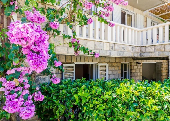 Small And Friendly Traditional זאטון